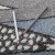 2F7A3529.jpg