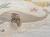 LOFT-KIDS-P455A-L.BEIGE-SP.CREAM-DETAY.jpg