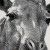 Dywan-dzieciecy-Savanna-Kids-9370-140-x-200-Bohater-Bajka-Inny.jpg