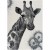 Dywan-dzieciecy-Savanna-Kids-9370-140-x-200.jpg