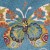 dywan-dzieciecy-bella-114-motyle-papilio-niebieski (3).jpg