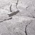 2F7A5672.jpg
