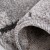 2F7A5690.jpg