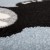 2F7A3198.jpg